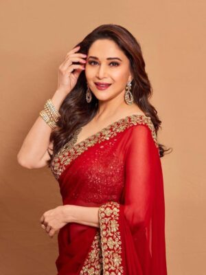 Madhuri Dixit Bollywood Designer Embroidery Thread Work Karva Chauth Saree